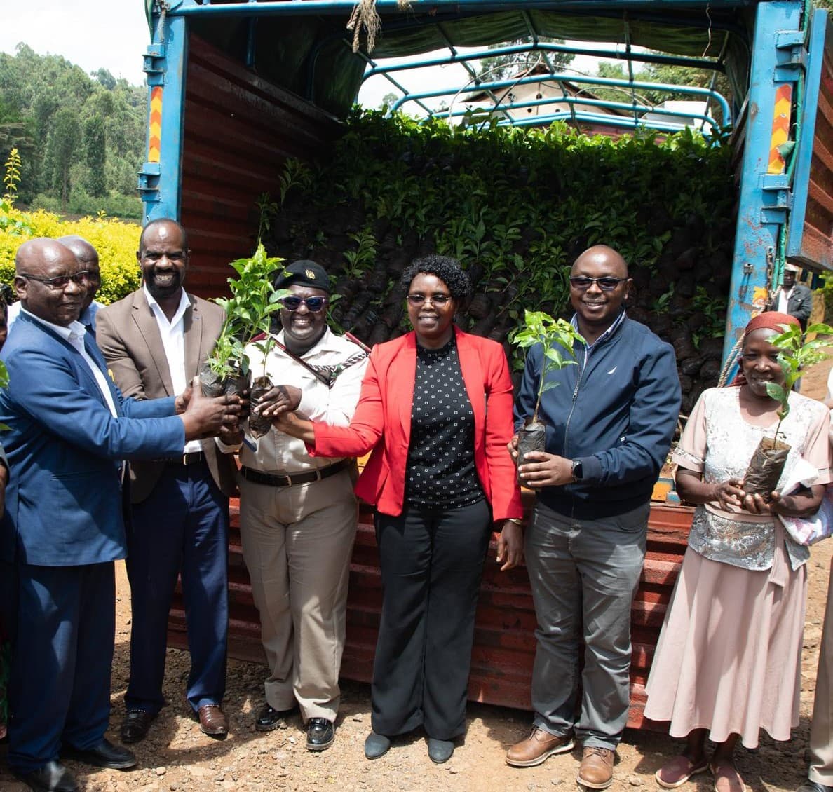 Coffee revival gains ground