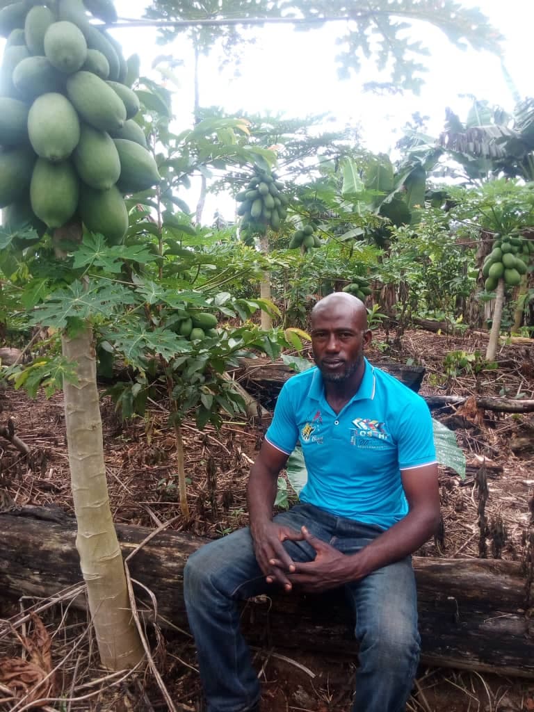 Cameroonian who lost entire stock to bird’s flu and swine fever finds reprieve in pawpaw farming