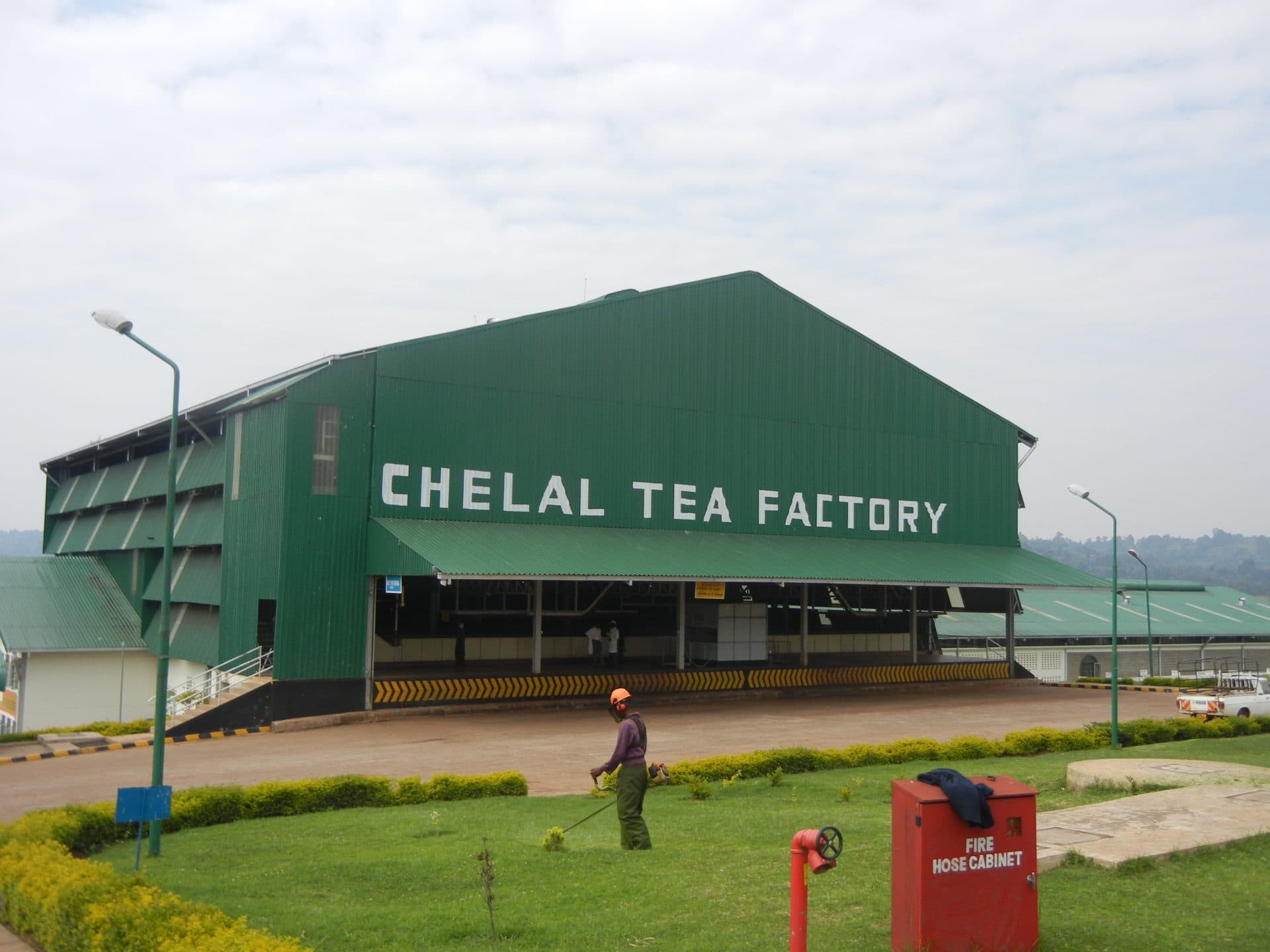 Tea farmers reap gains as industry earnings hit Sh187 billion