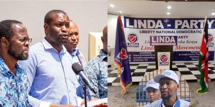 Details of Newly Approved LINDA Party Emerge After Linda Mwananchi Registration Setback