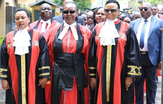 CJ urges ELRC to lead in advancing paperless Judiciary