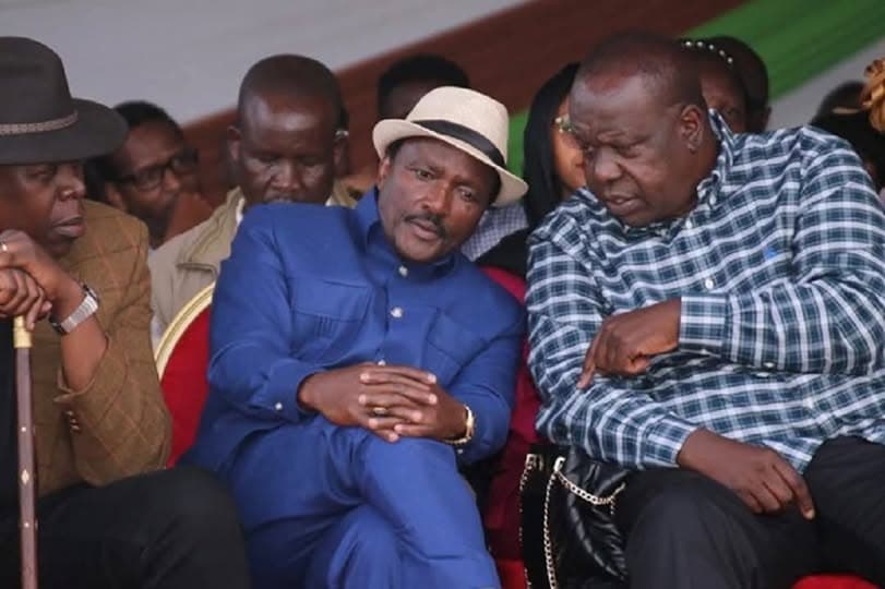 Kalonzo-Matiang’i Ticket Slightly Preferred Among Opposition Supporters, TIFA Survey Shows