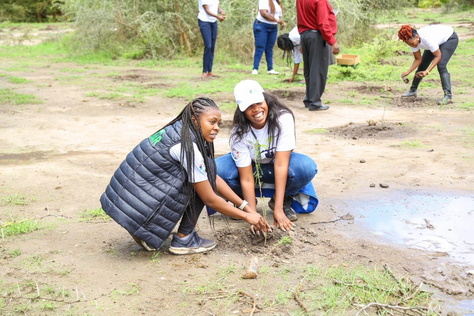 KCB Partners With 12,000 Schools To Plant 1.8 Million Trees