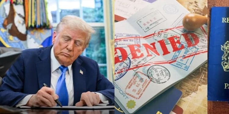 Foreign Nationals Targeted as US Revokes More Than 600 Visas in Fresh Crackdown