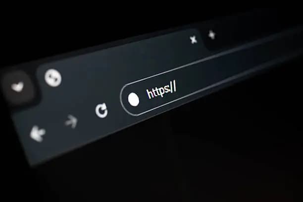 How to Check Incognito History