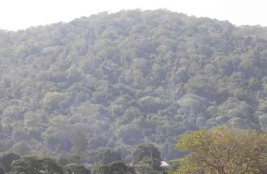 Mrima Hill: Kenya’s Ksh8T Mineral Wealth Sparks Global Race