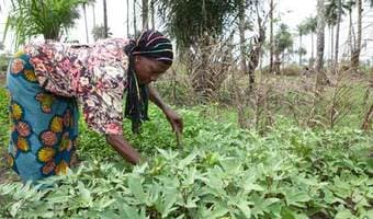 Kenya women farmers neglected despite driving agriculture