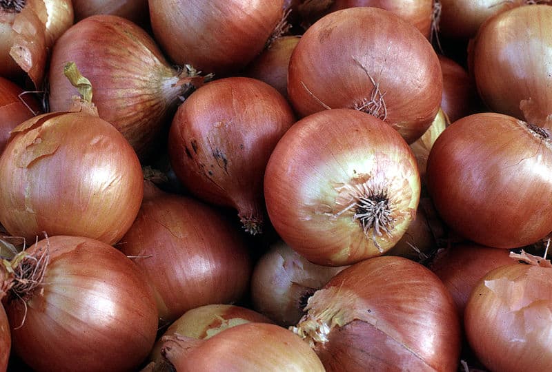 Why it is more profitable to sell onions immediately after harvest than store