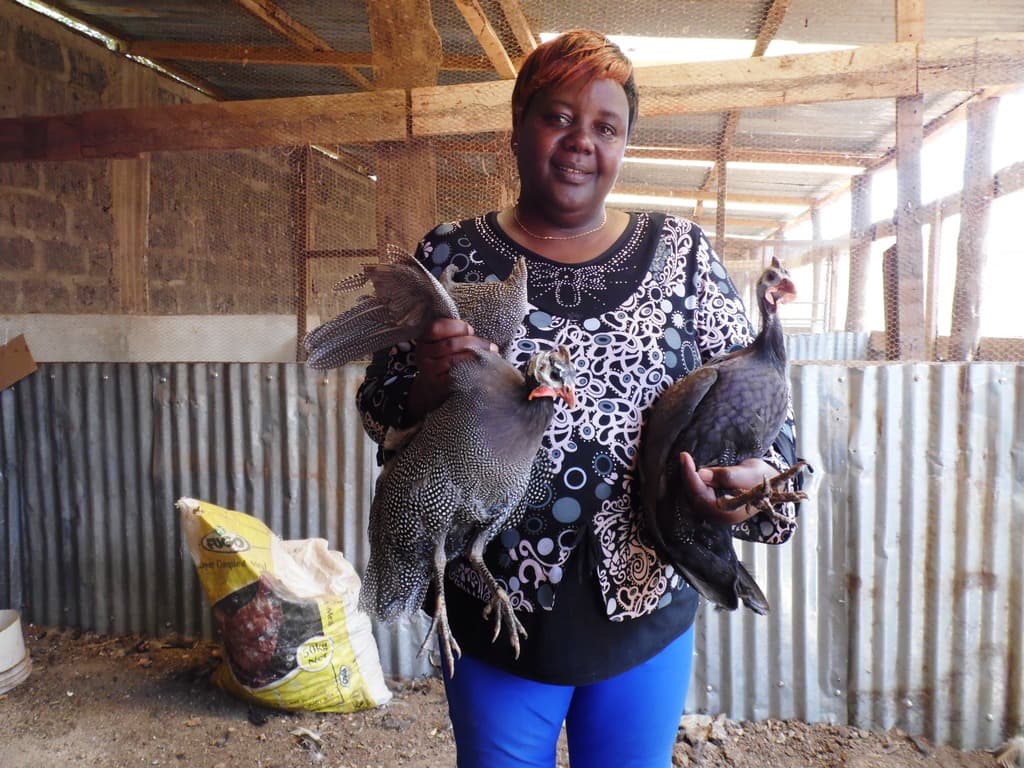 Exotic birds are more profitable than chicken