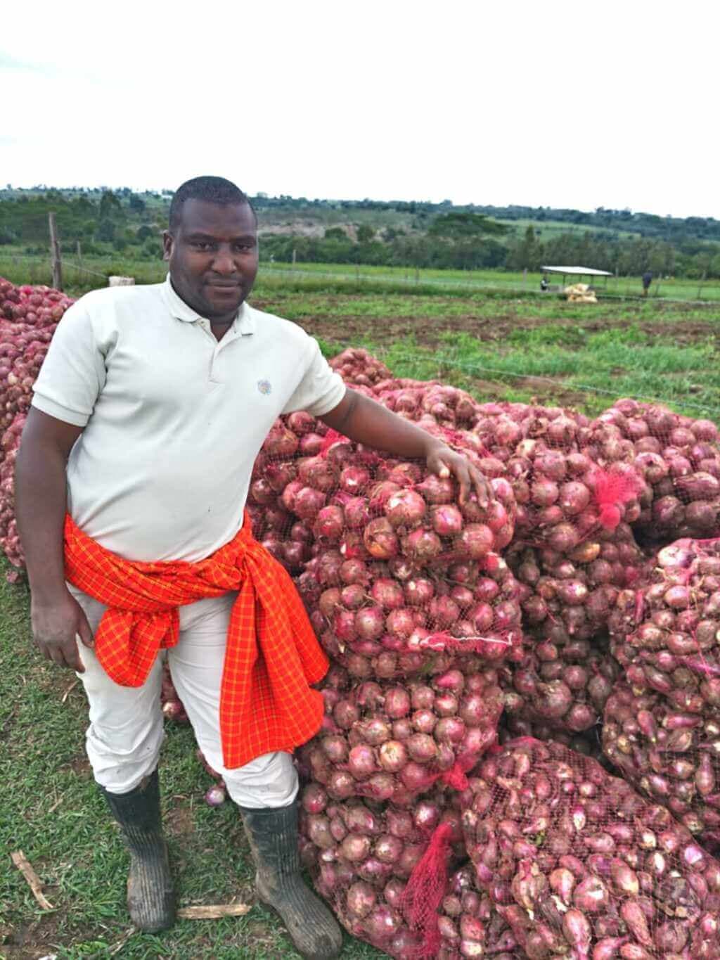 Onion farmers laugh to the bank despite increased production costs