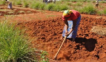 Farm loan pegs interest on soil conservation