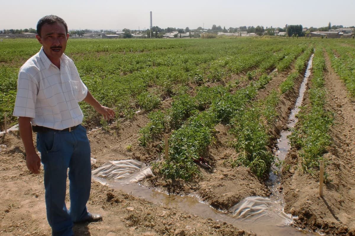 Partial Root-Zone Drying irrigation enables potato farmers halve water usage