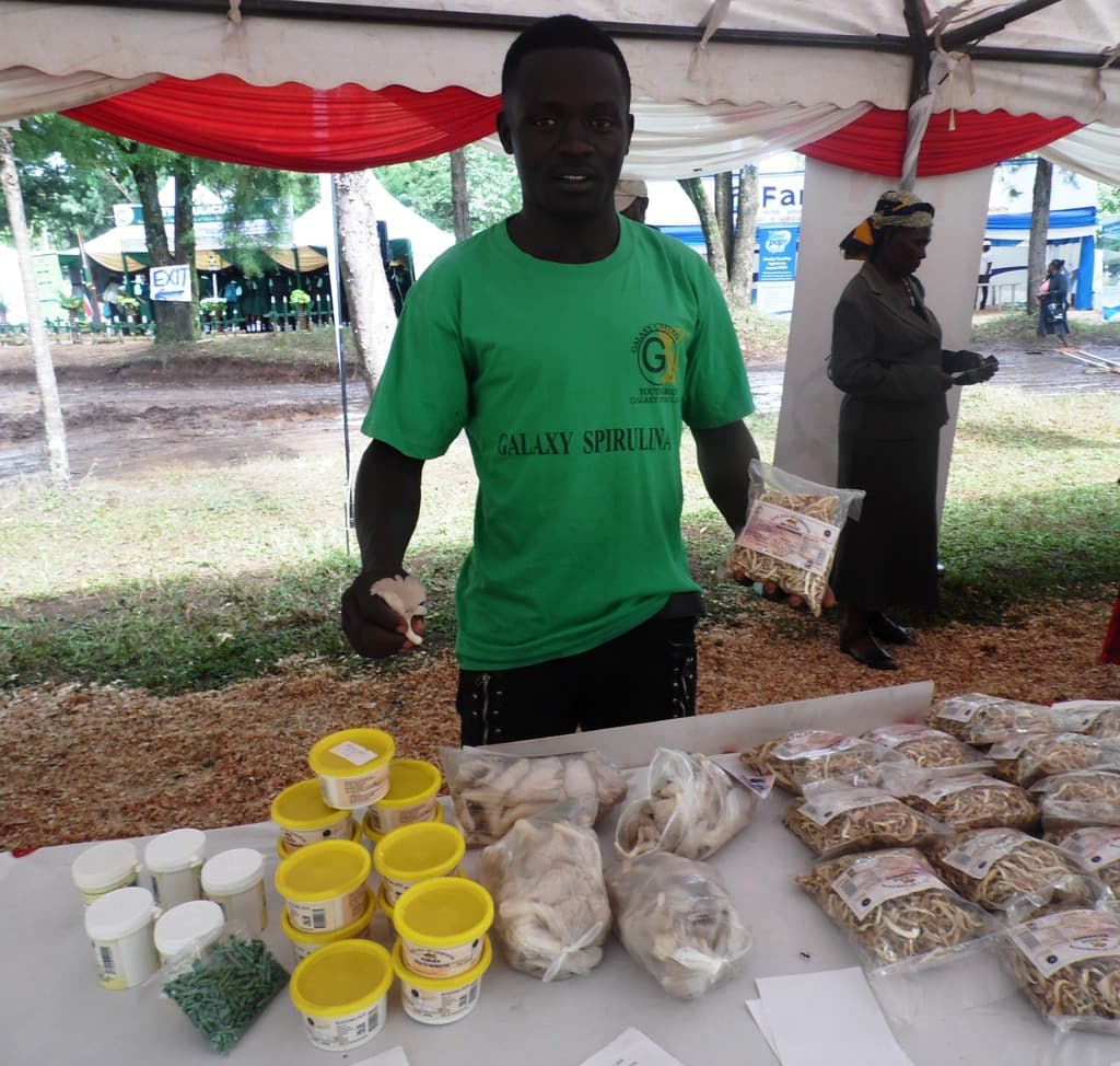 Mushroom value addition earns a Kakamega youth group Sh2,600 more