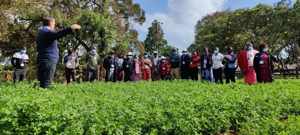 iCow teaches experts how to raise all yields through soil care: my personal journey
