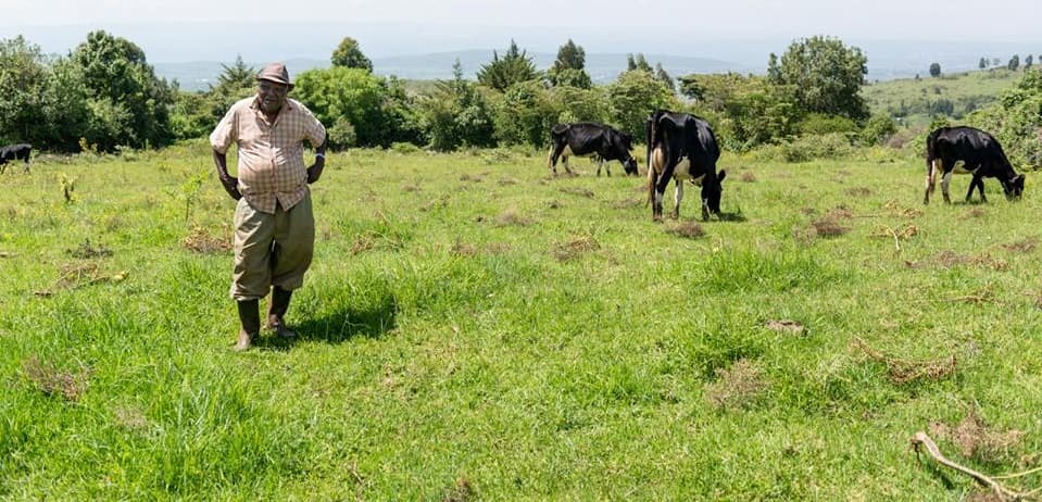 UKaid providing low-interest loans to Kenyan farmers