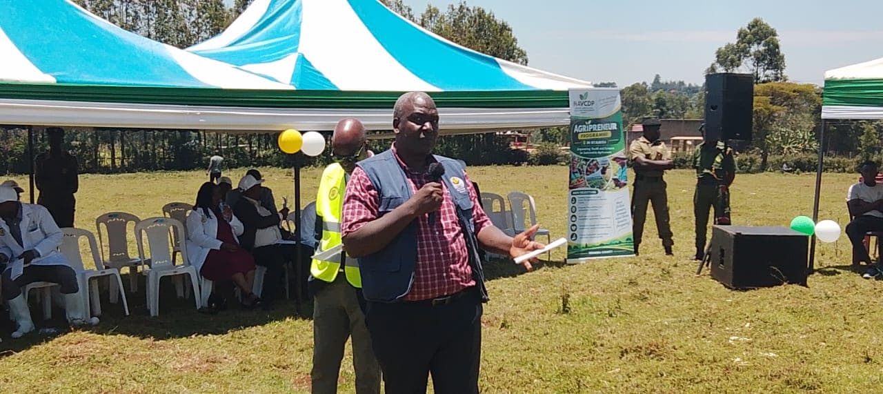 Nyamira orders removal of Eucalyptus trees from water catchment areas