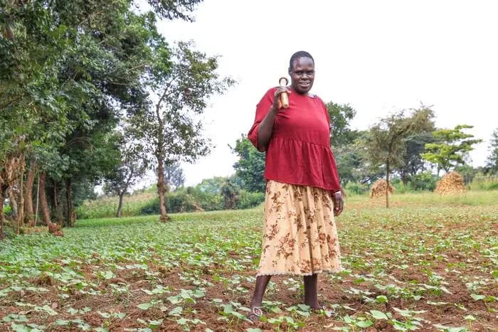 UN’s Tobacco-Free Farms initiative empowers Kenyan farmers shift to high-iron bean