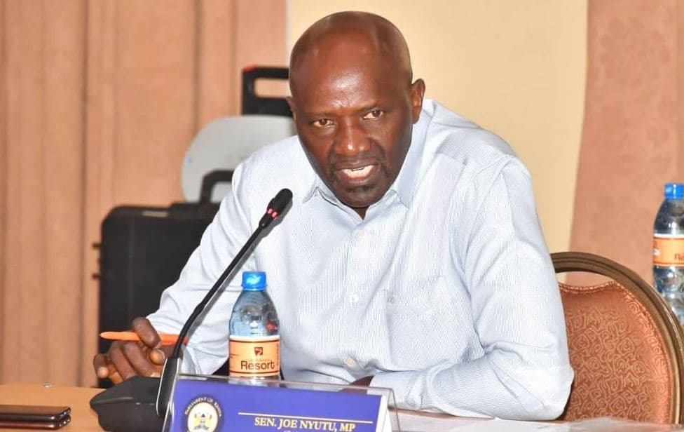 Defiant Nyutu Tells UDA Critics, “Ruto Isn’t the Party, and I’m Not Quitting”