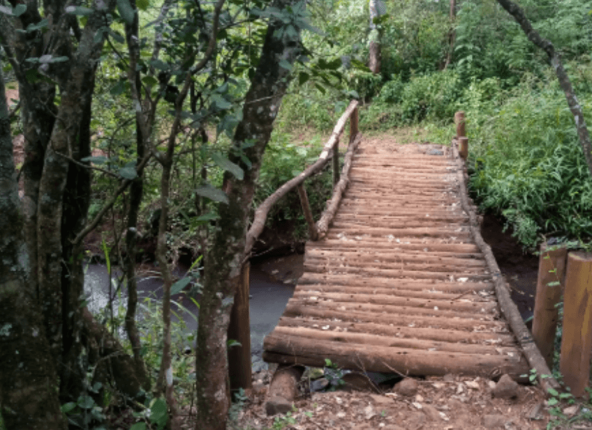 Court Stops Talanta Stadium Access Road Through Ngong Road Forest