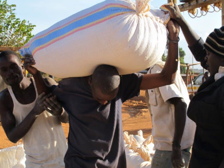 Kenyan traders resort to Uganda for cheaper maize