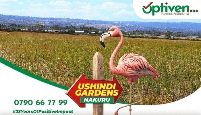 Optiven’s Ushindi Gardens Upscales Nakuru