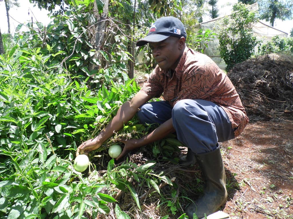 Mixed farming earns agripreneur double cash