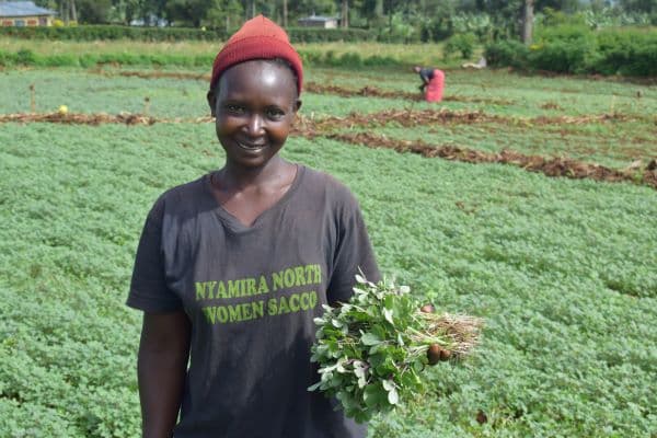 Nyamira women get indigenous vegetable market through UN program