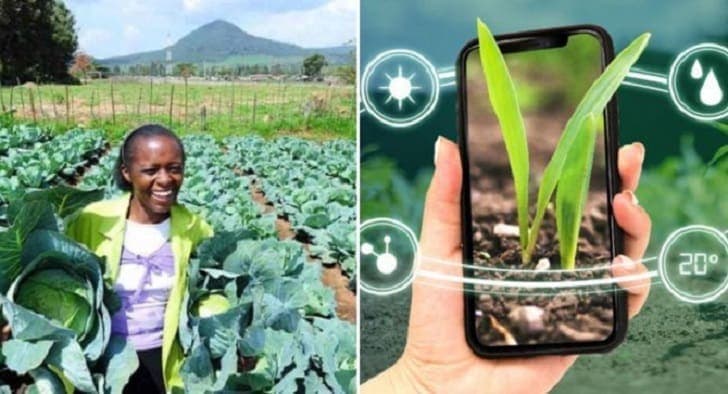 Details of Canadian University Training Program for Kenyan Farmers-1