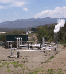 Naivasha flower farm tops for adopting renewable energy as away to save environment