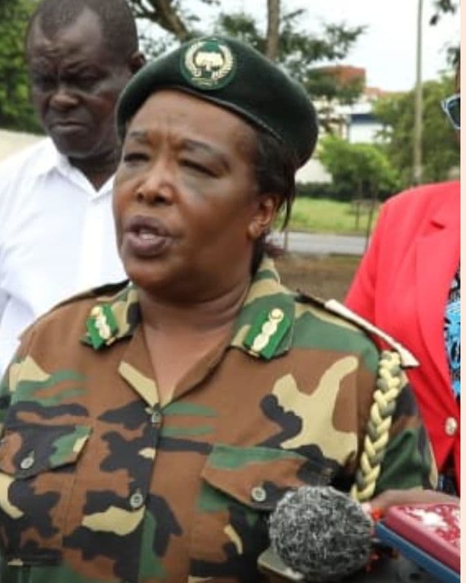 Conservationists want more tree cover in Homa-Bay County