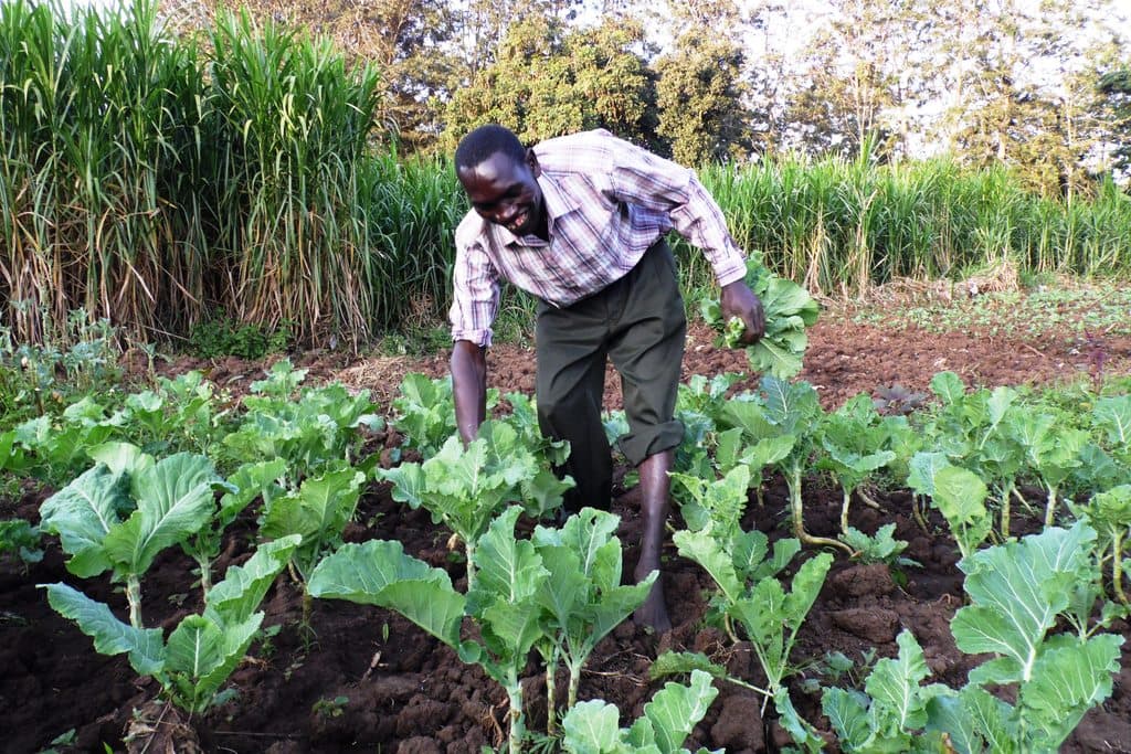 Part-time Kajiado farmer earns Sh15,000 from ‘free’ national park land