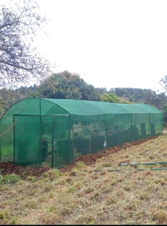 Shade nets half water usage; improve productivity 30% for arid farmers