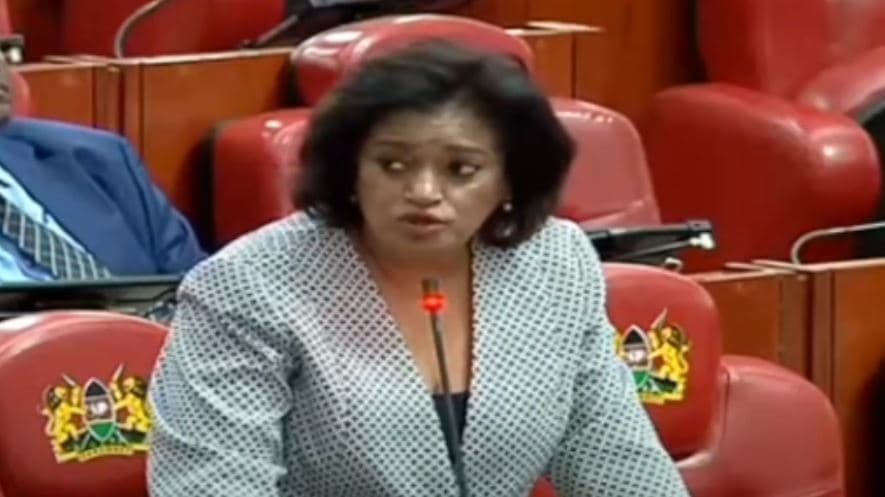 MPs Rally Behind Passaris’ Bill to Restrict Protests Near Parliament and State House
