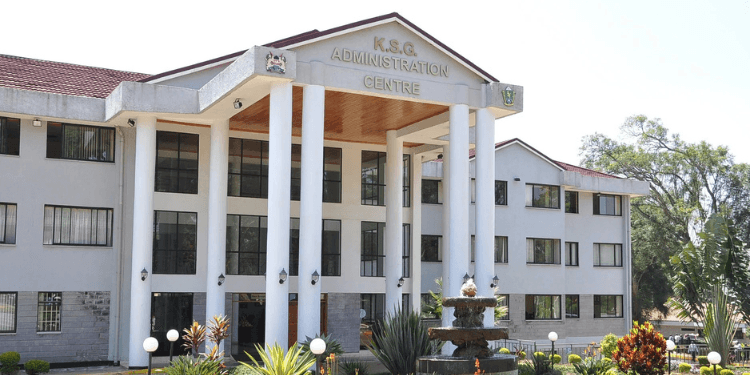 Kenya School of Government Announces Job Opportunities Across Multiple Departments: How to Apply