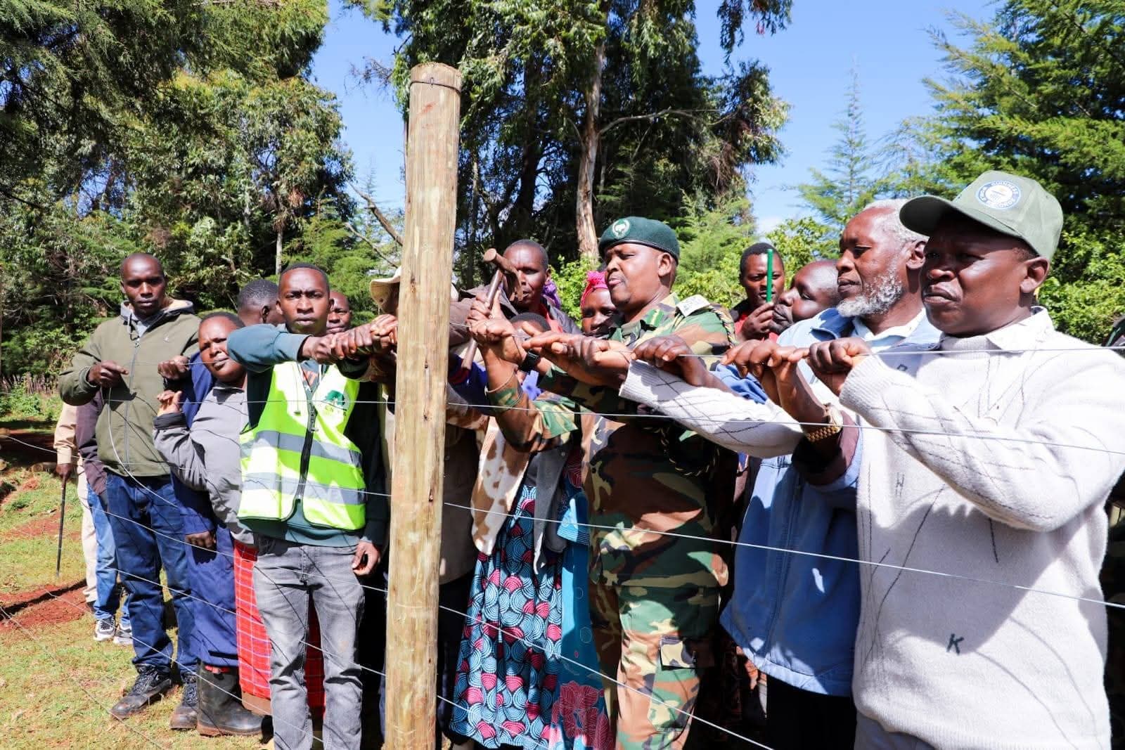Government intensifies forest protection
