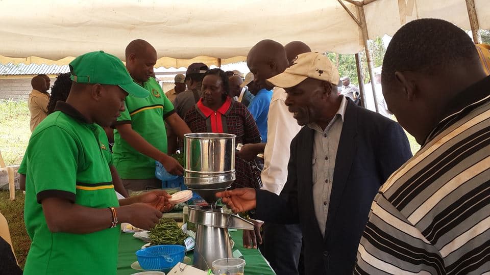 Agriculture ministry launches avocado farming in Embu