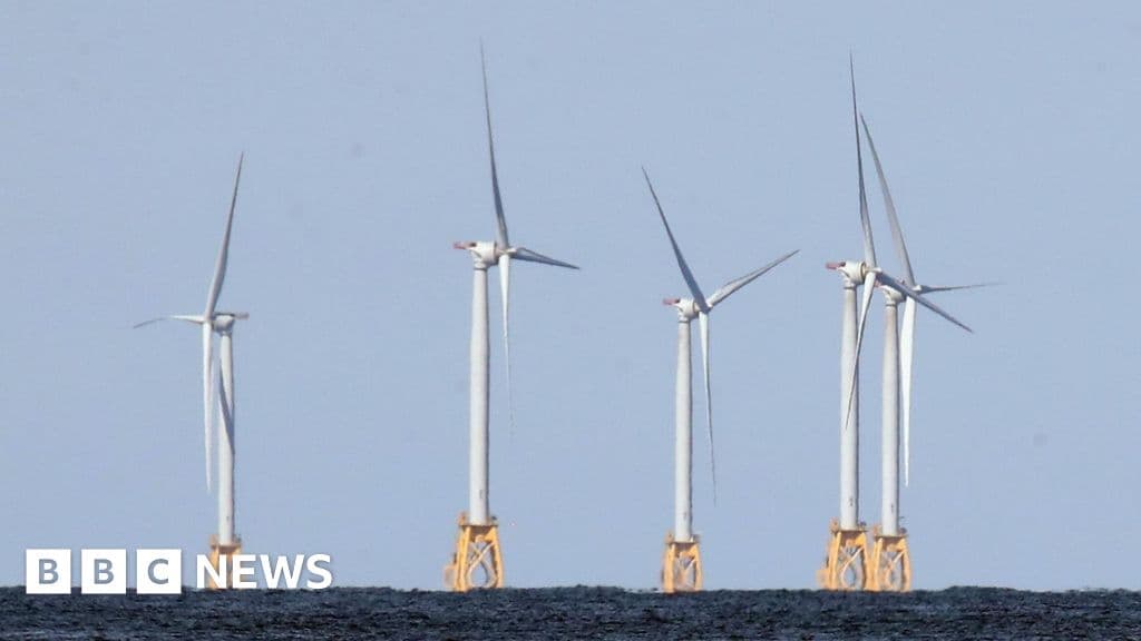 US strikes $1.2bn deal to pay German firm to halt offshore wind projects