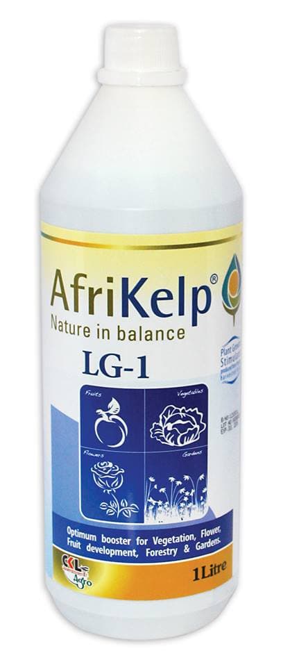 AfriKelp LG-1 prevents abortion of flowers increasing yields quality and quantity