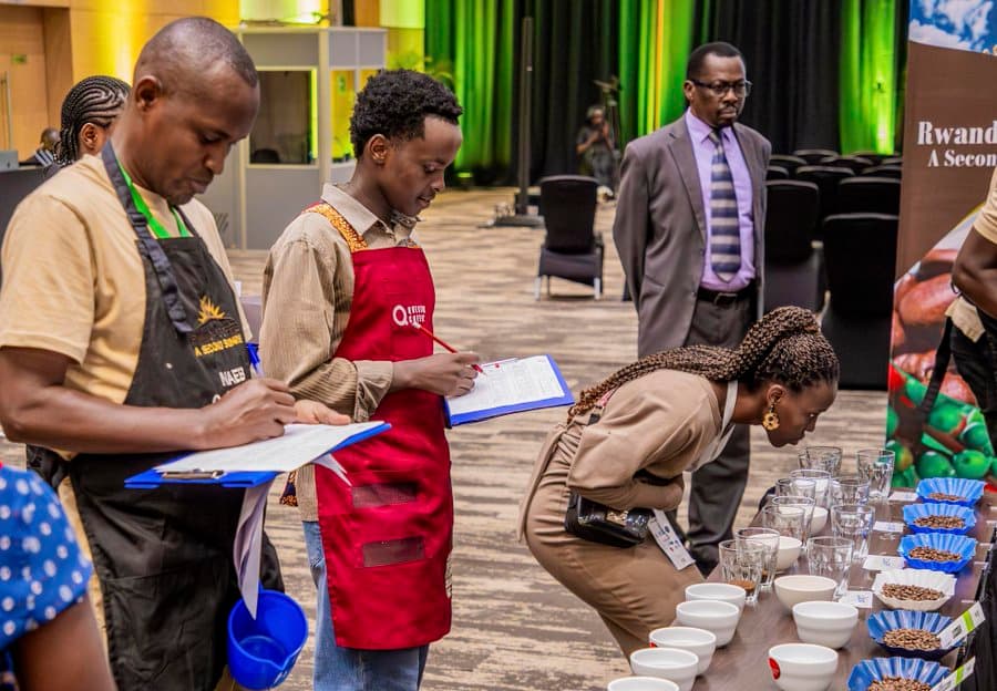 China to allow eligible coffee beans from 53 African countries starting July 20