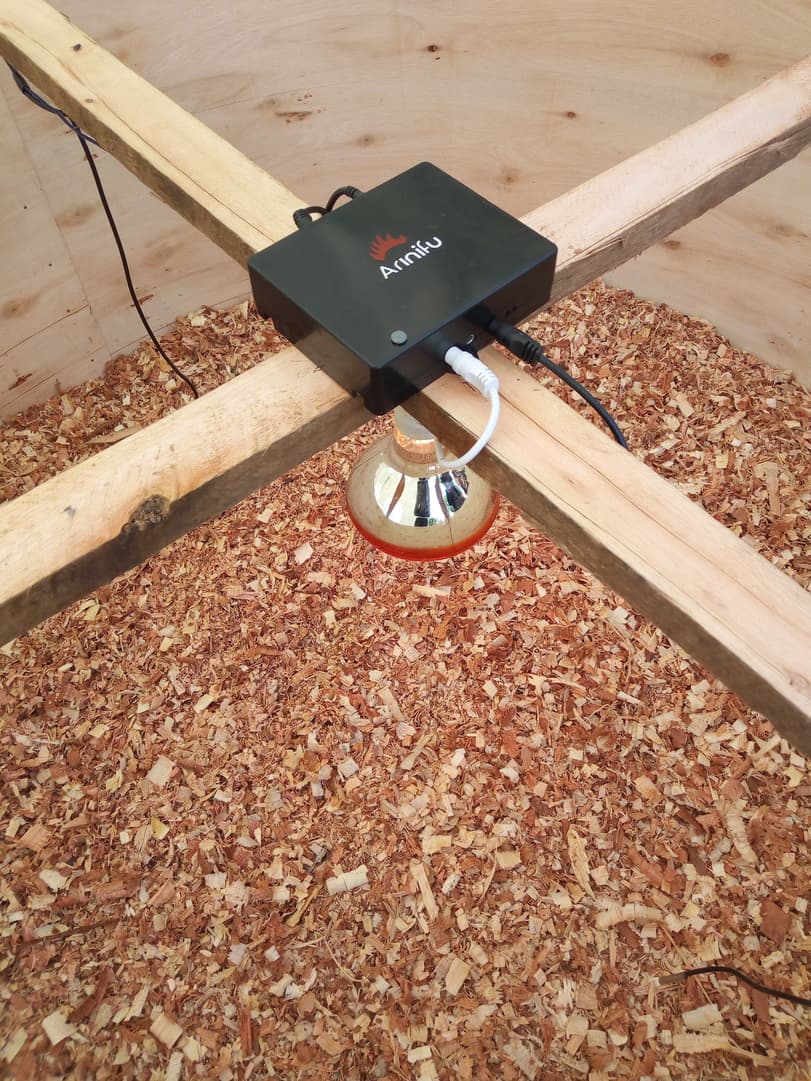 Technology company launches digital smart brooder that monitors chicks brooding space