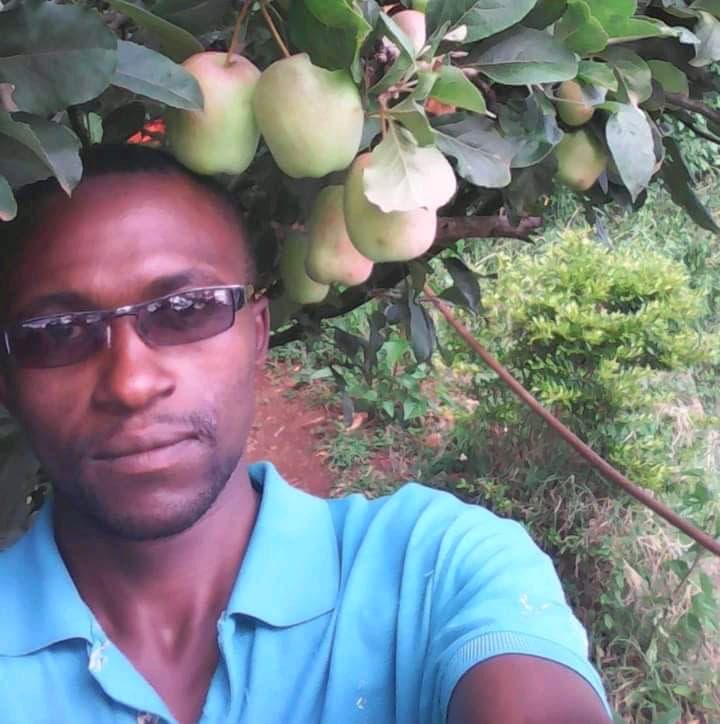 Apple tree stump turns Nyeri photographer into millionaire farmer