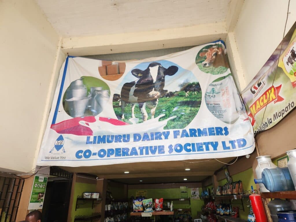 From smallholder to success: How cooperatives are driving farm growth in Kenya