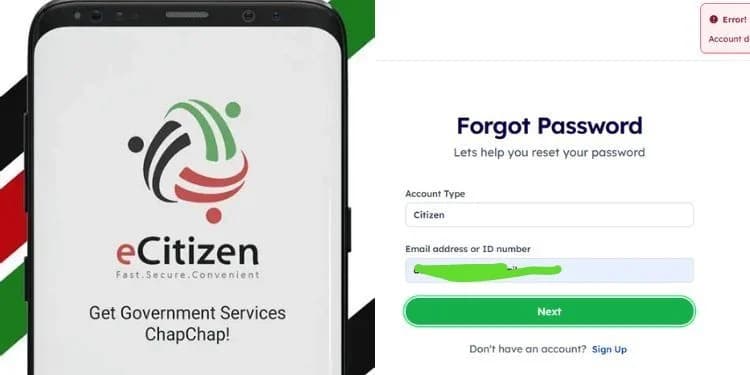 Who Actually Owns eCitizen? Burning Questions Emerge as Billions Move Through It