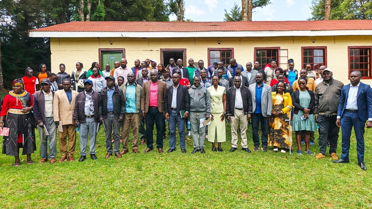 Stakeholders back proposed reforms to streamline county business licensing
