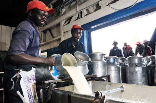Elgeyo-Marakwet invests in huge milk coolers to support county milk brand
