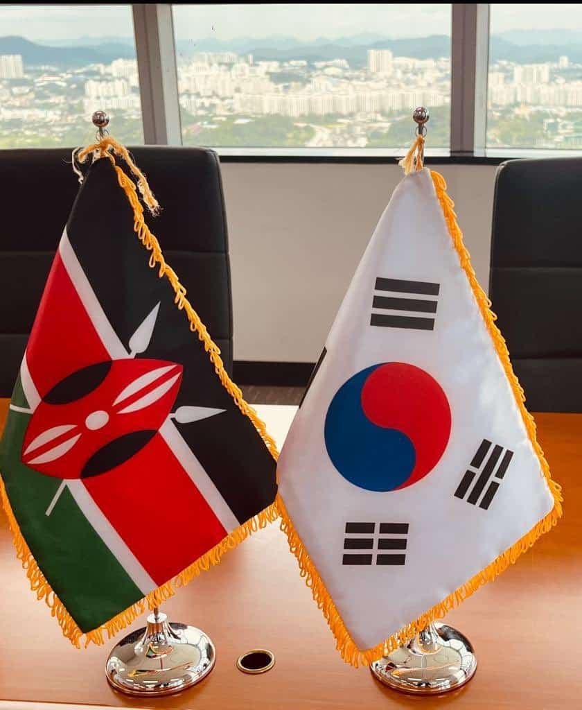 South Korea Chaebols Business Sophistication Insights for Scaling Up Kenyan Multi-National Corporations into Economic Juggernauts