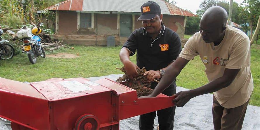 Farmers to thresh three bags of sorghum per hour with new JKUAT machine
