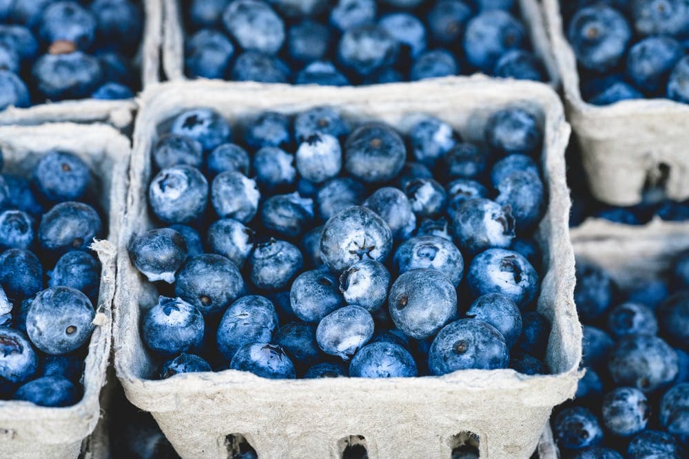 FarmBiz TV:Health food Blueberry delivers Sh8m+ a year per acre.