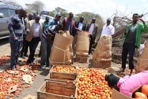 Kenyan government launches Sh9m post-harvest training programme for tomato farmers