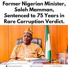 Former Nigerian minister sentenced to 75 years in rare corruption verdic